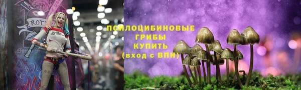 эйфоретик Надым