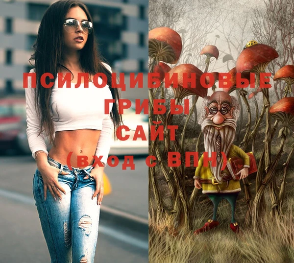 эйфоретик Надым